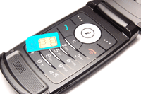 Samsung SGH-D830