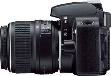  low-end: Nikon D40