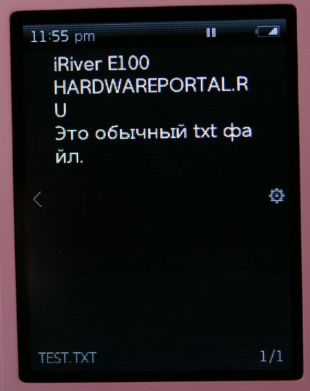 iRiver E-100