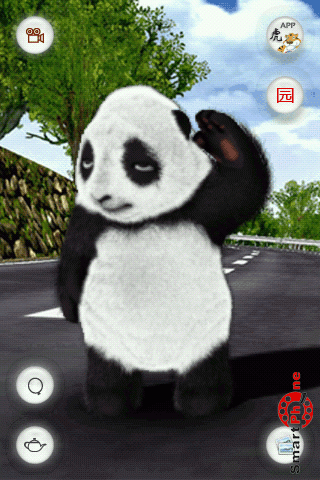   Crouching Panda  Android OS