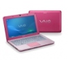  Sony VAIO W21