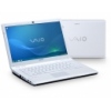  Sony VAIO CW1