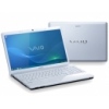  Sony VAIO EB3