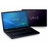  Sony VAIO F13