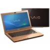  Sony VAIO SA2