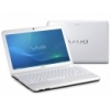  Sony VAIO EG1