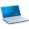  Sony VAIO EB35