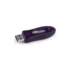 Kingston DataTraveler 110 1Gb -  1