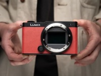 Panasonic     Lumix S9  $1500