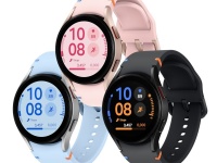 Samsung Electronics    Galaxy Watch FE     '