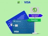           Visa