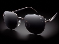 Apple     Ray-Ban Meta Smart Glasses