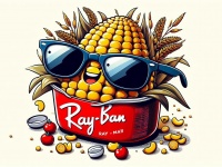 Baidu    ز -  Meta Ray-Ban